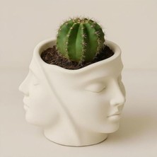 Esranın Dünyası 11 cm Taş Tozu Sukulent Saksısı, Modern Minimalist Masa Dekoru