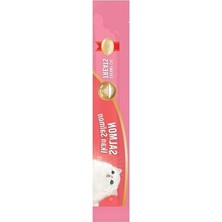 Esranın Dünyası 4X15 gr Somon Kedi Ödülü, Krema Formunda