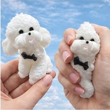 Esranın Dünyası Poodle Squishy Oyuncak, Jel Sukuşi Yumuşak Köpek, 10CM, Beyaz LRS653206985200
