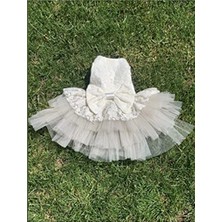 MarkEntegra X-Small Boyutunda Köpek Kedi Gelinlik, Şık Tasarım