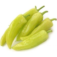 Esranın Dünyası Biber Çarliston (Çoklu Tohum) - 5 Gram