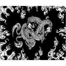 Esranın Dünyası Porge Lingyun Series Esport Mouse Pad 48X40, 50X50 Mouse Pad (Speed (Premium Smooth), Dragon, 480X400X3 Mm)