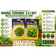 Naz Tohum Kıvırcık Marul + Düz Marul Tohumu 2'li Set | Organik Sebze Tohumu | Saksı, Balkon ve Bahçe Yetiştiriciliğine Uygun
