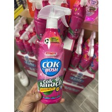 Çok Hosh Temizleyici 700 ml