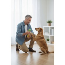 Runaway Clicker Köpek Eğitim Aleti Etkili ve Hızlı Öğrenme