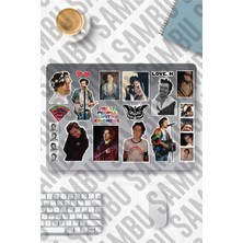 MS Major Selection Harry Styles Temalı Sticker Etiket Seti - Laptop Telefon