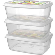 Titiz Aria Saklama Kabı 3 Parçalı Set, 1200 ml Kapasite
