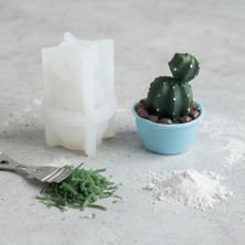 Karakız Mini Katküs Silikon Kalıp 5x4 Cm