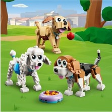 Get Store LEGO Creator Sevimli Köpekler 31137-7 Yaş ve Üzeri Çocuklar Için Beagle, Poodle ve Labrador Modelleri Içeren Yaratıcı Oyuncak Yapım Seti (475 Parça)