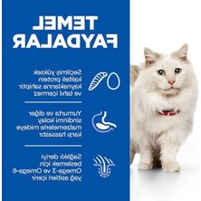 Get Store Tahılsız Kedi Maması | Yumurtalı & Böcekli | 7 kg