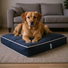 Get Store Lüks Dayanıklı Şönil Kumaş Visco Dolgulu Çift Taraflı ve Fermuarlı Yıkanabilir Köpek Yatağı(Fşönilmavi) (Medium)