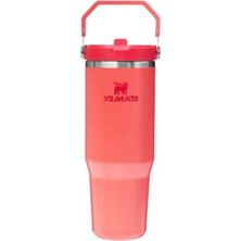 Get Store Pipetli Termos Bardak, 0.89 Litre Kapasite, Mercan Renk Seçeneği