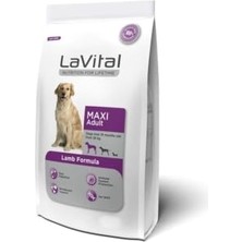 Get Store Kuzu Etli Maxi Adult Köpek Maması 15 Kg, Besleyici