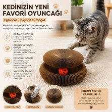 Majo Akordiyon Karton Kedi Oyuncağı, Toplu ve Kedi Otu Hediyeli