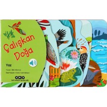 Aydogan's Ayd Çalışkan Doğa – Yaz