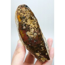 Healcrystal Eye-Banded Black Sea Agate - Derin Tuğla Kırmızısı, Hardal Sarısı ve Koyu Kahverengi Orbiküler