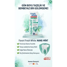 Glonar Nane Mint Diş Pastas