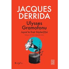 Aydogan's Ayd Ulysses Gramofonu