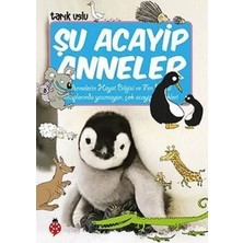 Aydogan's Ayd Şu Acayip Anneler