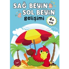 Aydogan's Ayd Sağ Beyin-Sol Beyin Gelişimi 4+ Yaş    
