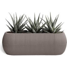 Get Store Kahve Renkli Uzun Saksı Seti, 0,55 Litre ve 1,3 Litre ile Ekonomik Seçenek