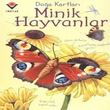 Aknca Doğa Kartları - Minik Hayvanlar