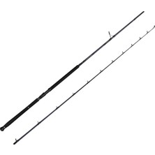 Savage Gear Defiance Sg2 Shore Jig 2.90M 50-120GR 2 Parça Olta Kamışı