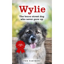 Wylie: The Brave Street Dog Who Never Gave Up