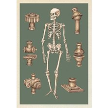 Anatomicum Postcard Box