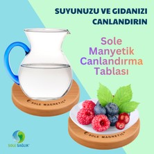 Sole Manyetik Canlandırma Tablası