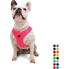 Get Store Tailpetz Air-Mesh Küçük ve Orta Irk Kedi Köpek Göğüs Tasması - Yumuşak, Nefes Alabilir, Dayanıklı (Neon-Pembe, Large)