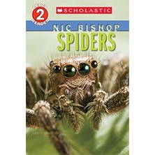 Spiders (Scholastic Reader Level 2)