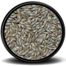 Get Store -Sade Kanarya Yemi (Aspur)1 kg