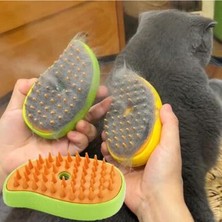 Aesco Buharlı Kedi Tarağı, Focal Model