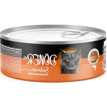 Aesco Somon Balıklı Yetişkin Kedi Maması, 70 gr