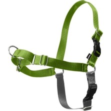 Aesco Çekmesiz Elma Yeşili/gri Köpek Koşumu, Medium/large Boy