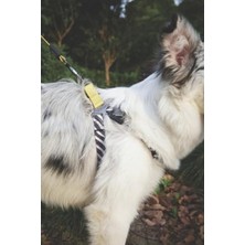 Aesco Ayarlanabilir Harness - Xs Boy