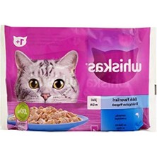 Aesco Balık Favorileri Yetişkin Kedi Konservesi, 85GR 4'lü