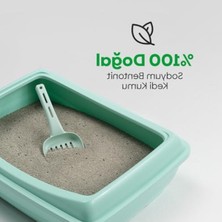 Aesco Max Super Premium Kokusuz Kedi Kumu, 10 Kg, Yüksek Emicilik