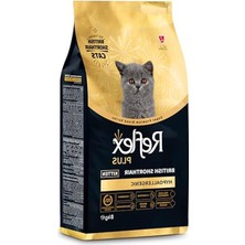 Aesco British Shorthair Yavru Kedi Maması, 8kg