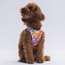 Aesco 2xs Boyutunda Air-Mesh Mosaic Köpek Göğüs Tasması, Hafif ve Rahat