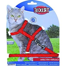 Aesco Yavru Kedi Için Boyun Tasması, Rahat Tasarım