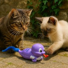 Aesco Kurmalı Hareketli Salyangoz Kedi Oyuncağı