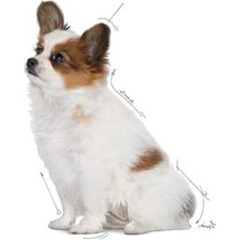 Aesco Yavru Köpek Maması 1,5 Kg, Küçük Irklar Için Besleyici ve Lezzetli
