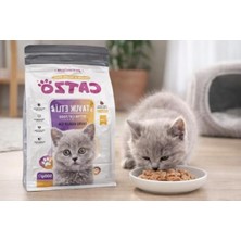 Aesco Tavuk Etli Yavru Kedi Maması 500 G | Yüksek Protein ve Omega 3-6 Destekli