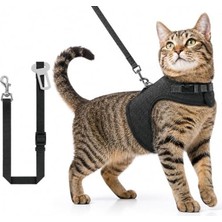 Aesco 3 Katmanlı Nefes Alabilen Kedi Göğüs Tasma - 3'lü Set, Siyah