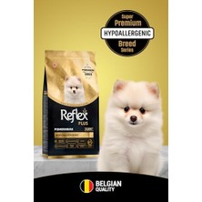 Aesco Yavru Köpek Için 1.5 kg Kuru Mama