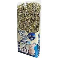 Aesco Kemirgenler Için Besleyici Yeşil Ot, 300 Gram Paket