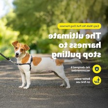 Aesco No-Pull Köpek Koşum Takımı, Yürüyüşlerde Kontrol Sağlar