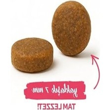 Aesco Taze Kümes Hayvanlı Yetişkin Kedi Maması, 400 gr